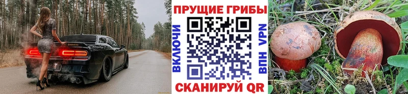 Псилоцибиновые грибы мицелий купить наркоту Бежецк